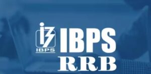 IBPS clerk job 2024